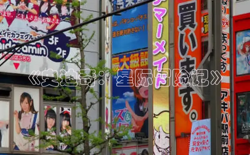 牛牛视频app